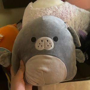 matt squishmallow 8in